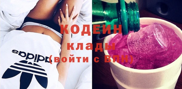 хмурый Алзамай