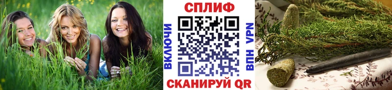 мега как войти  Кочубеевское  Конопля ГИДРОПОН  что такое наркотик 